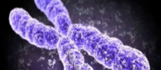 An image of a chromosome. (YouTube)