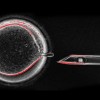 A pipette pulls out the nuclear genetic material from an unfertilized egg during IVF. (Center for Embryonic Cell and Gene Therapy of Oregon Health & Science University)