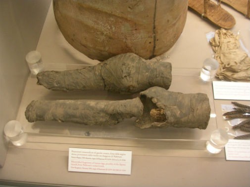 Archaeologists believe they have identified the mummified legs of Queen Nefertari. (Joann Fletcher/University of York)