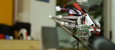 Roboticists at UC Berkeley have designed a small robot with the highest robotic vertical jumping agility ever recorded. (UC Berkeley/YouTube)