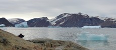 Icebergs discharged from Allison Glacier float near Kullorsuaq, western Greenland. (Margie Turrin/Lamont-Doherty Earth Observatory)