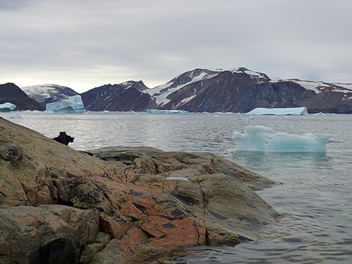 Icebergs discharged from Allison Glacier float near Kullorsuaq, western Greenland. (Margie Turrin/Lamont-Doherty Earth Observatory)