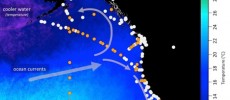 Map shows the location of seawater samples taken by scientists and analyzed at the Woods Hole Oceanographic Institution for radioactive cesium. (Jessica Drysdale, Woods Hole Oceanographic Institution)