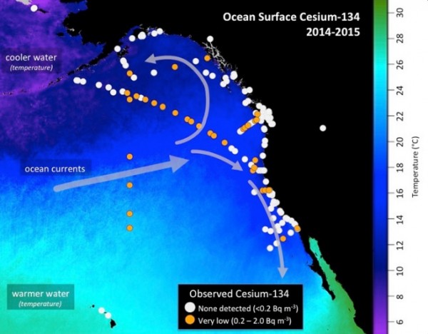 Map shows the location of seawater samples taken by scientists and analyzed at the Woods Hole Oceanographic Institution for radioactive cesium. (Jessica Drysdale, Woods Hole Oceanographic Institution)