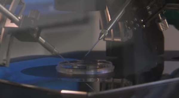 An IVF treatment involving the DNA of three parents has been approved in the UK. (YouTube)