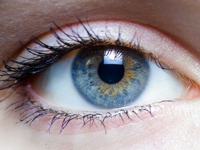 Thanks to medical advancements, cataract removal can be performed in less than 30 minutes.  (Laitr Keiows/CC BY-SA 3.0)