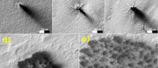 A branching network of troughs carved by thawing carbon dioxide over the span of three Martian years. (NASA/JPL-Caltech/Univ. of Arizona)