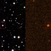 Tabby's Star in infrared (2MASS survey) and ultraviolet (GALEX). (Department of Physics University of Illinois)