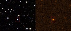 Tabby's Star in infrared (2MASS survey) and ultraviolet (GALEX). (Department of Physics University of Illinois)