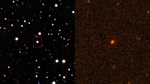 Tabby's Star in infrared (2MASS survey) and ultraviolet (GALEX). (Department of Physics University of Illinois)