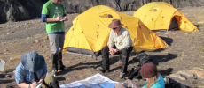 The team of geologists discovered the new species of bird in the Canadian Arctic. (YouTube)