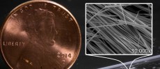 Fuzzy white clusters of nanowires on a lab bench, with a penny for scale. (Hao Yan/SIMES/SLAC National Accelerator Laboratory)