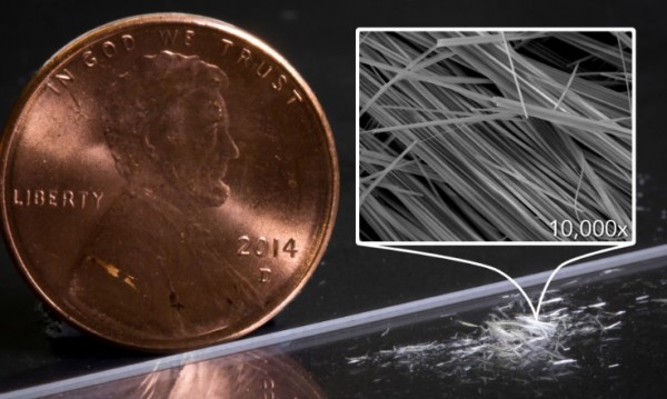 Fuzzy white clusters of nanowires on a lab bench, with a penny for scale. (Hao Yan/SIMES/SLAC National Accelerator Laboratory)