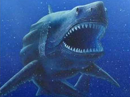Scientists say the Megalodon probably became extinct because it was a picky eater. (YouTube)