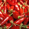 A new study suggests that eating red hot chilli pepper can reduce mortality rate. (Gerard's World/CC BY-NC-ND 2.0)