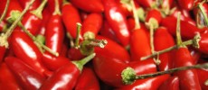 A new study suggests that eating red hot chilli pepper can reduce mortality rate. (Gerard's World/CC BY-NC-ND 2.0)