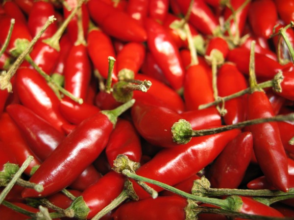 A new study suggests that eating red hot chilli pepper can reduce mortality rate. (Gerard's World/CC BY-NC-ND 2.0)