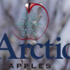 Arctic Apples will start selling its apples in February. (YouTube)