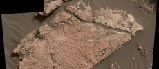 The network of cracks in this Martian rock slab called 