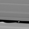 Daphnis (5 miles or 8 kilometers across) orbits within the 42-kilometer (26-mile) wide Keeler Gap.  ( NASA/JPL-Caltech/Space Science Institute)