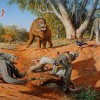 A new study involving the University of Monash and CU Boulder indicates humans are to blame for the extinction of the Australia megafauna. ( Peter Trusler / Monash University)