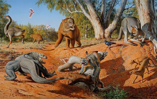 A new study involving the University of Monash and CU Boulder indicates humans are to blame for the extinction of the Australia megafauna. ( Peter Trusler / Monash University)