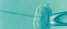  Further scientific backing and proper evaluation are required before the technique would be widely adopted as a safe alternative to improve IVF treatments. 