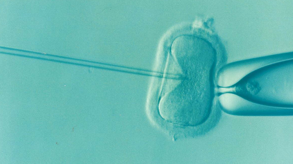  Further scientific backing and proper evaluation are required before the technique would be widely adopted as a safe alternative to improve IVF treatments. 