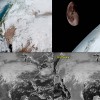The first batch of images captured by the NOAA's GOES-16 satellite. (NOAA)