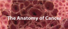 A new study has listed the cancer hot spots in America. (YouTube)