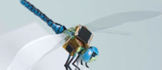 Dragonfly drones