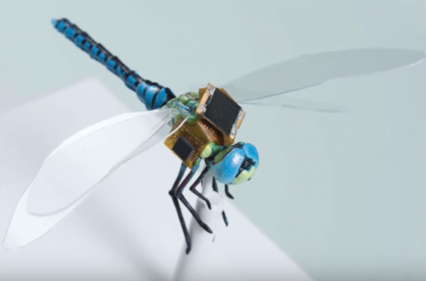 Dragonfly drones