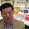 Dr. Weihong Song said that the study clearly shows that even a marginal deficiency of vitamin A has a detrimental effect on brain development. (YouTube)