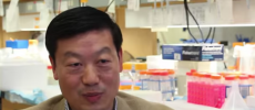 Dr. Weihong Song said that the study clearly shows that even a marginal deficiency of vitamin A has a detrimental effect on brain development. (YouTube)