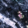 Zircon minerals are often found in granite containing uranium, thorium and lead. (Wits University)