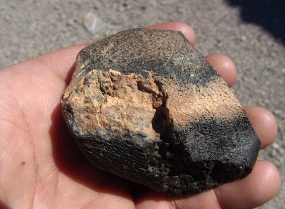 Martian meteorite "Northwest Africa 7635" was discovered in Algeria in 2012. (Mohammed Hmani/Purdue University)