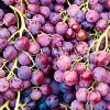Scientists suggest that eating grapes may help fight off Alzheimer's disease. (Juan Antonio Capó Alonso/CC BY-NC-SA 2.0)