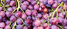 Scientists suggest that eating grapes may help fight off Alzheimer's disease. (Juan Antonio Capó Alonso/CC BY-NC-SA 2.0)