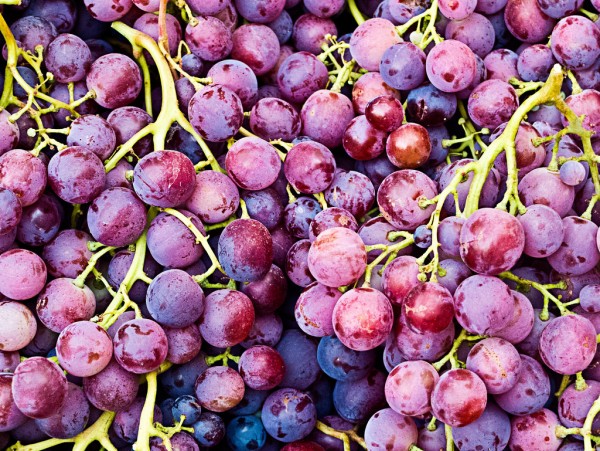 Scientists suggest that eating grapes may help fight off Alzheimer's disease. (Juan Antonio Capó Alonso/CC BY-NC-SA 2.0)