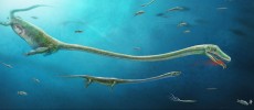 Ancient Dinosaur Relative of Crocodiles, Birds Display Evidence of Live Birth (Jun Liu, Chris L. Organ, Michael J. Benton, Matthew C. Brandley & Jonathan C. Aitchison/CC BY 4.0)