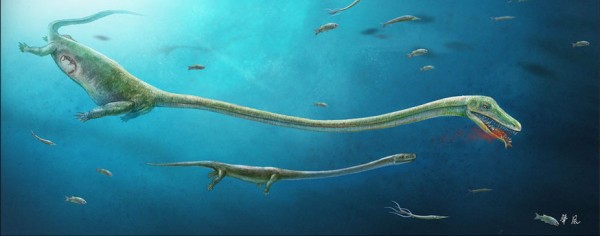 Ancient Dinosaur Relative of Crocodiles, Birds Display Evidence of Live Birth (Jun Liu, Chris L. Organ, Michael J. Benton, Matthew C. Brandley & Jonathan C. Aitchison/CC BY 4.0)