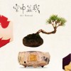 This floating Air Bonsai is handcrafted by the Hoshinchu Air Bonsai Garden.