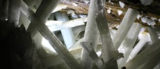 Towering crystals still host 50,000 year old organisms in Naica Cave, Mexico.