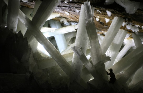 Towering crystals still host 50,000 year old organisms in Naica Cave, Mexico.