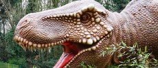 Zhejiang province of China could have been a real-life Jurassic Park as scientists have discovered 82 dinosaur fossil sites in the region.