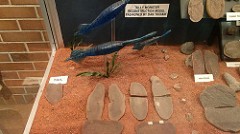 Tully Monster Fossils