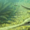 An illustration depicts what Mazon Creek--now a rich fossil bed--may have looked like 300 million years ago. ( John Megahan/University of Pennsylvania)