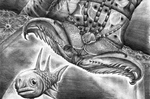 An artistic reconstruction showing W. armstrongi attacking a fish in the Devonian sea. (James Ormiston/University of Bristol)