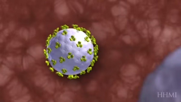 Although the HIV medication does not really deliver cure of the illness, it can increase life expectancy. (YouTube)