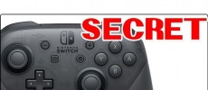 A Secretly Hidden Message in Nintendo Switch Pro Controllers